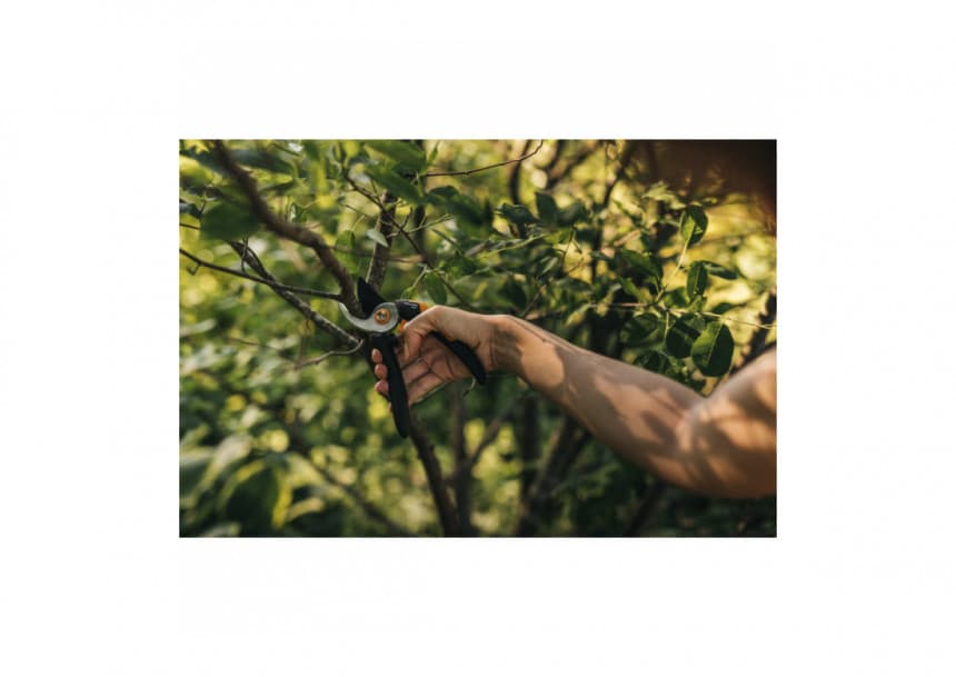 1057162 Makaze voćarske  10