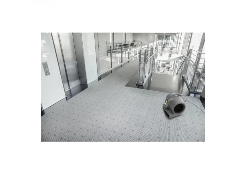 AB 20 Ec 2