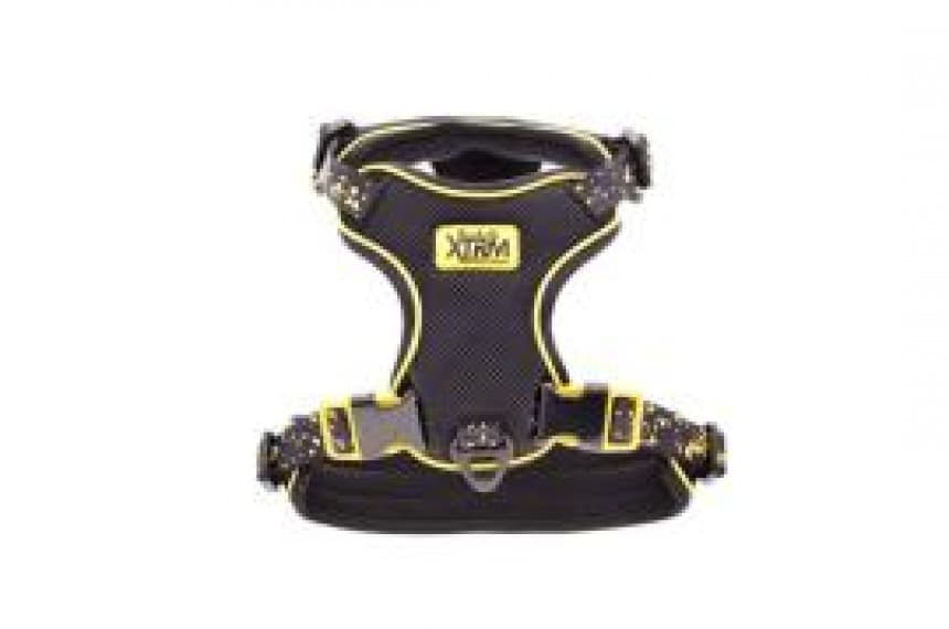 Am Aria S crni 2x53-60 1