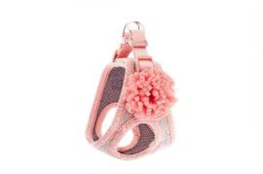 Am Bella S 30-38cm 1