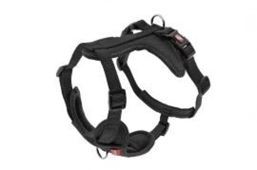 Am Cesare L crni 2.5cm 1