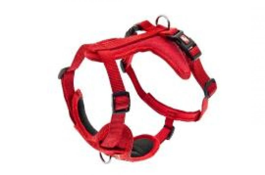 Am Cesare M crveni 2cm 1