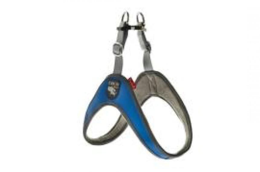 D.Am COCO Small braon 1