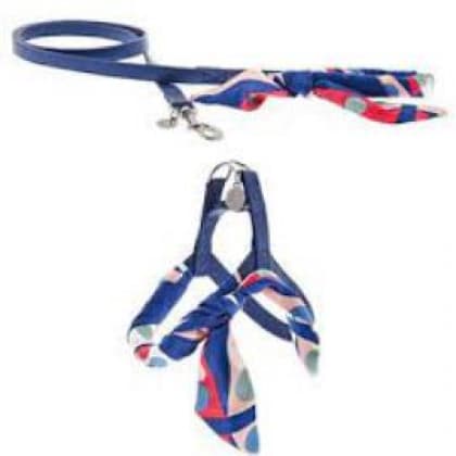 Am I povodac Carmen S