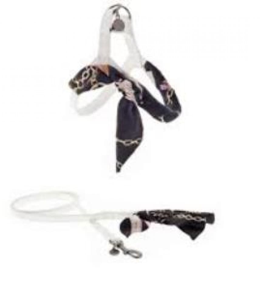 D.Am I povodac Tosca S 1