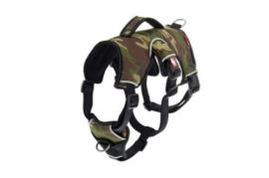 D.Am K2 sivi XL 58-88cm 1