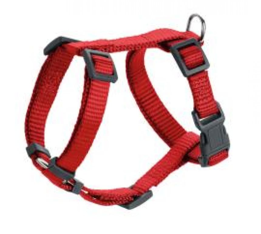 Am London crveni 41-70/S 1