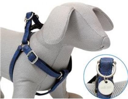 Am MyLord 60/100*25 teget