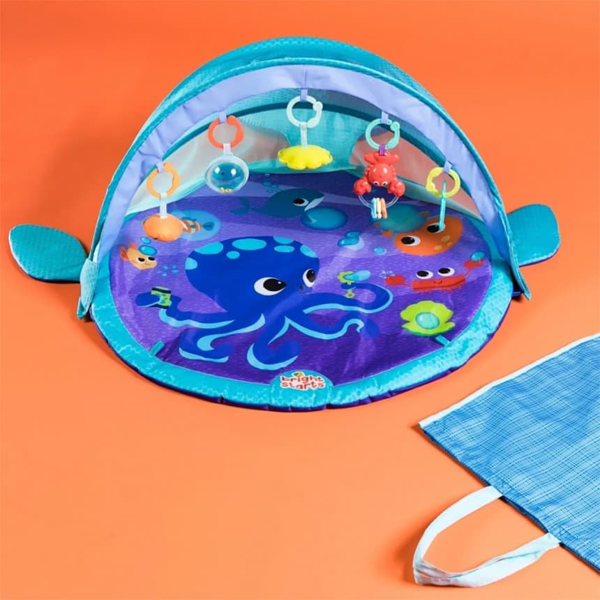 Bright Starts baby gym kit 1