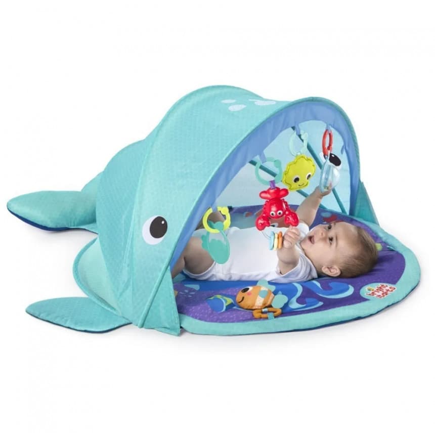 Bright Starts baby gym kit 4