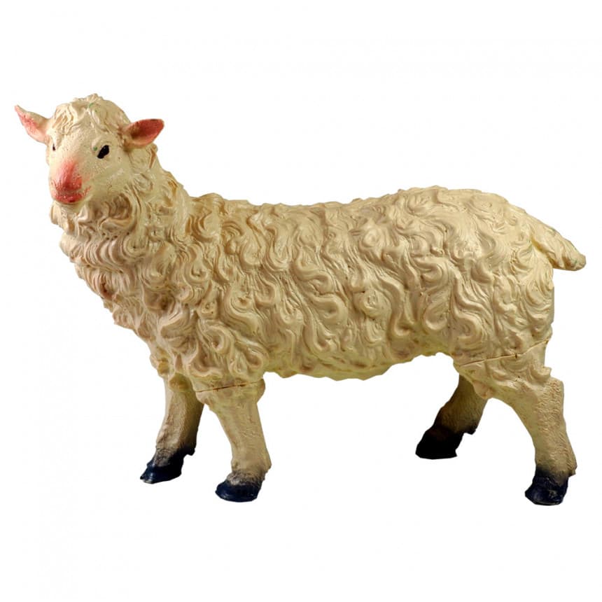 Domaće životinje 23495 2