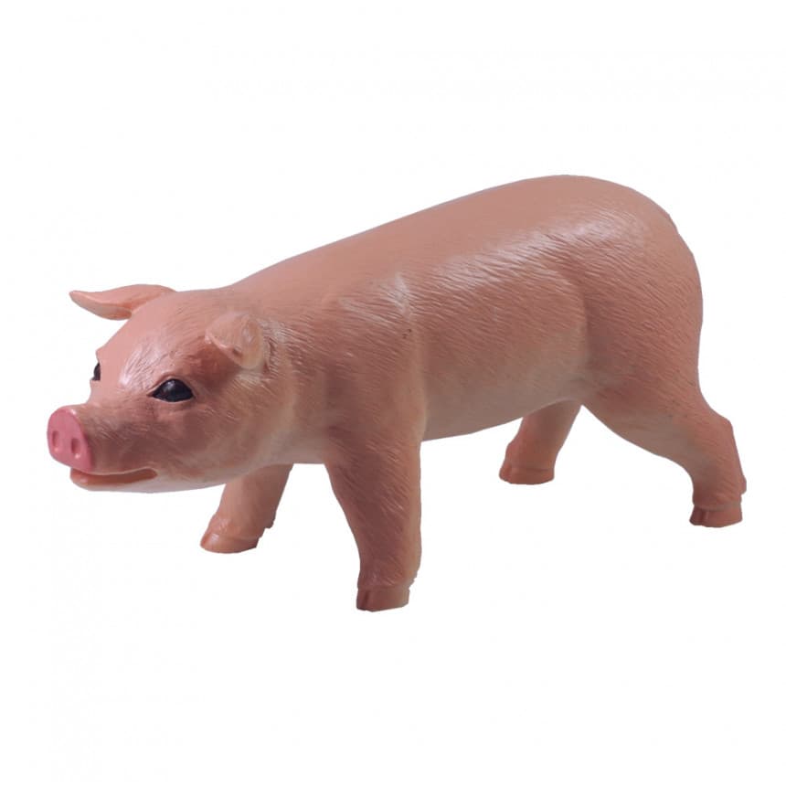 Domaće životinje 23495 3