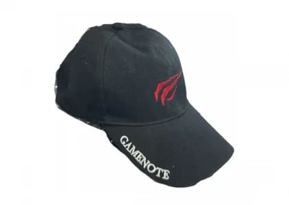 HAVIT - kačket WG002