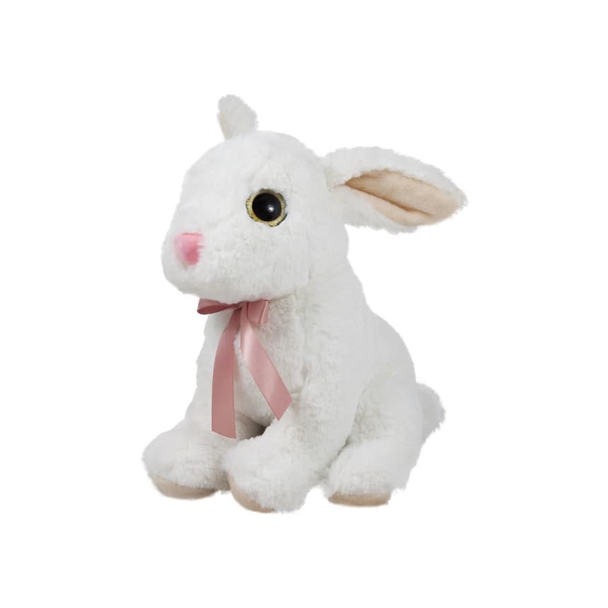 110301 PLZEKA 25CM 1