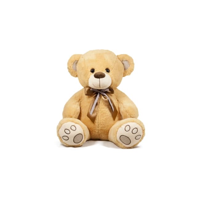 701561 PLMEDA SA MASNOM 40CM 1