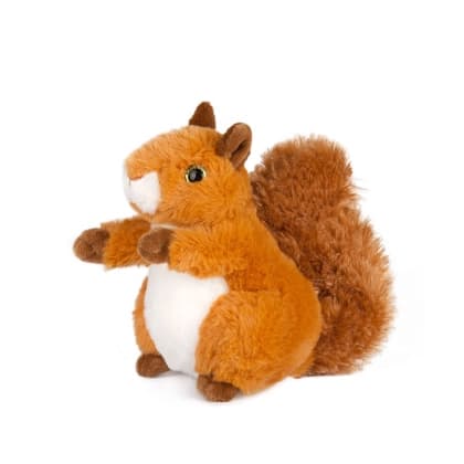 112602PLVEVERICA 20cm