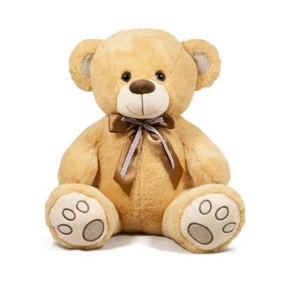 701561 PLMEDA SA MASNOM 40CM