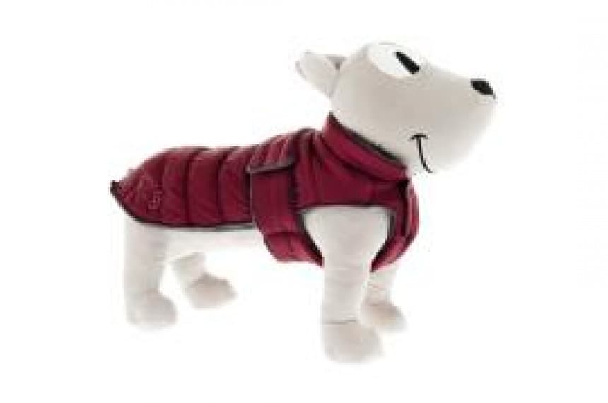 Jakna Caldoso+ 27 bordo 1