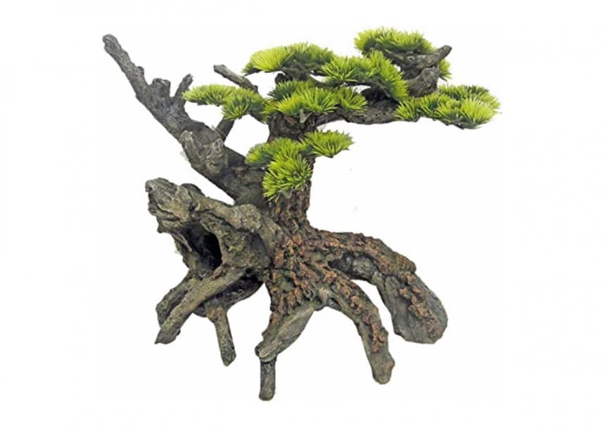 michelangelo bonsai 9.5