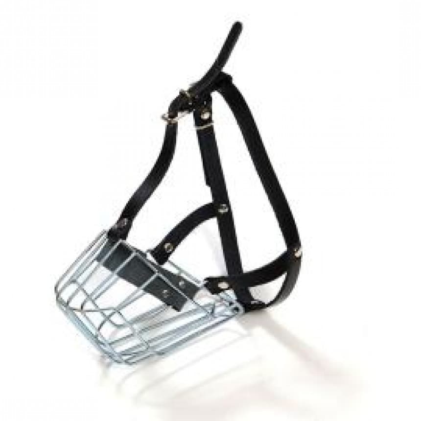 KORPA METAL KOZA OVCAR 1