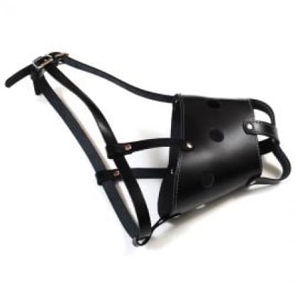 Korpa od koze pit bul