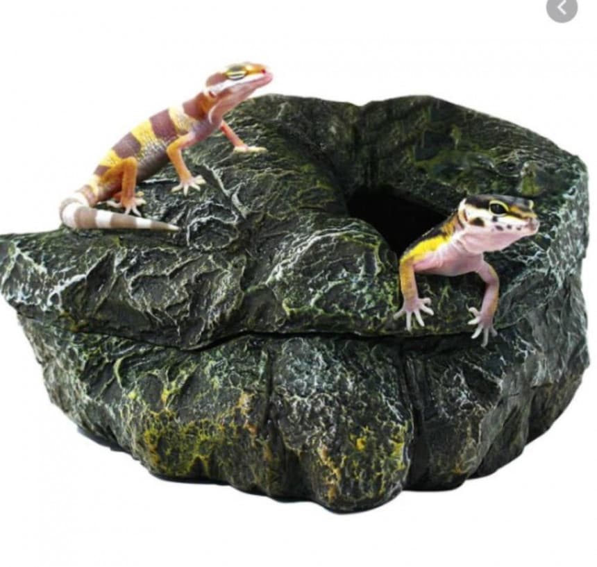 Kucica za reptile 20cm 1