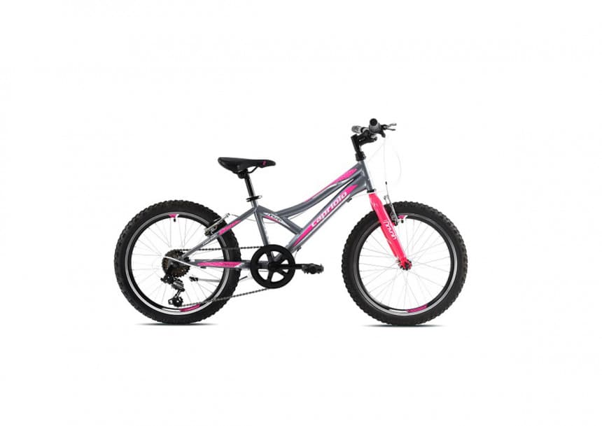 Bicikl Capriolo Mtb diavolo 200 20" 6HT sivo-pink 11" (920292-11) 1