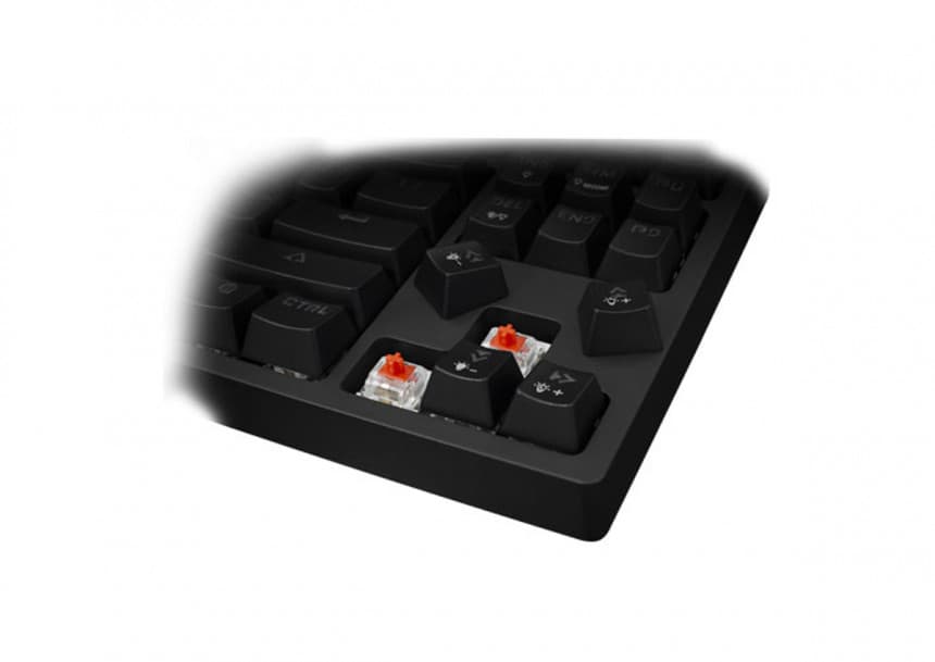 WS Premium ESL K1 KODACHI, Keyboard 2