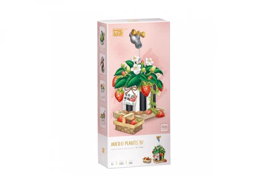 Loz - Eternal Flower 1