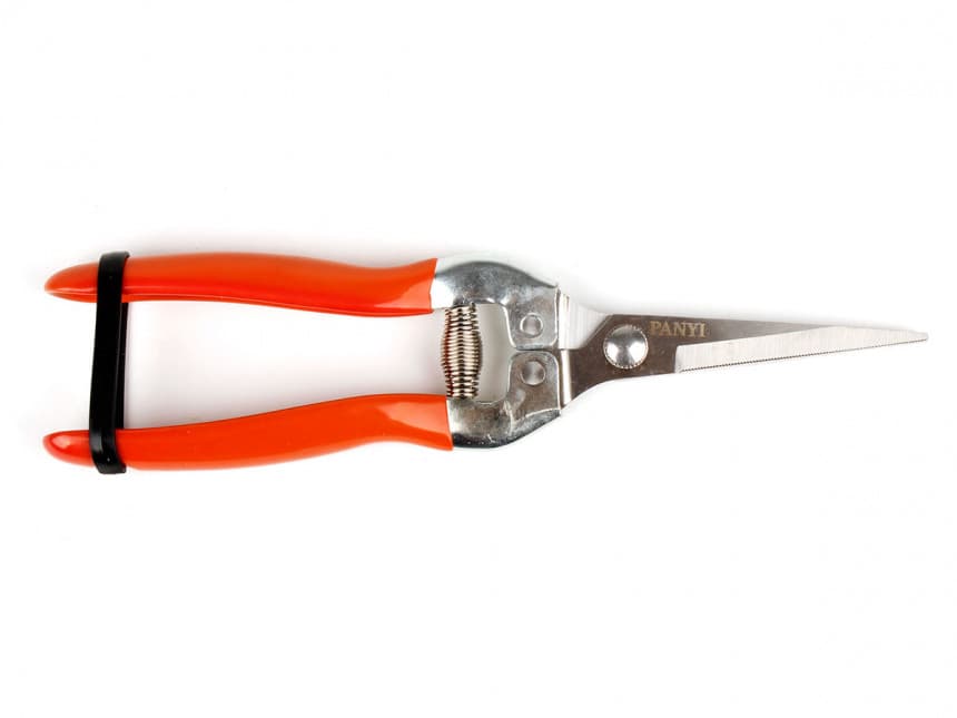 MAKAZE VINOGRADARSKE 1