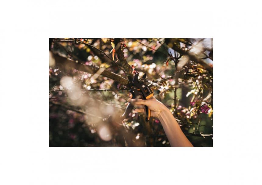 Makaze voćarske 1000575 3