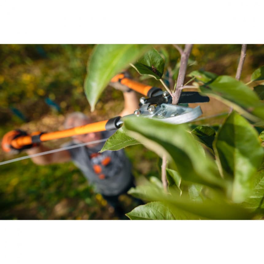 Makaze za grane LS 109 2