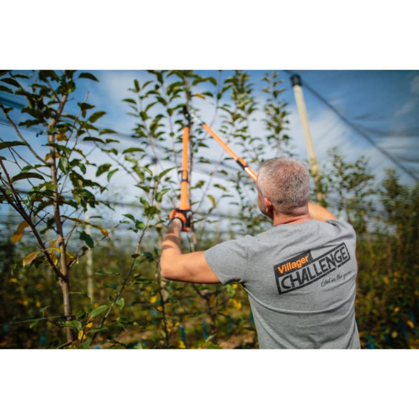 Makaze za grane LS 109 3