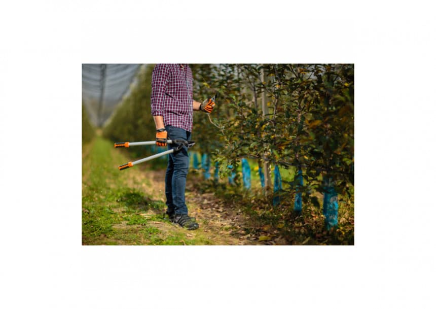 Makaze za grane LS 127 2