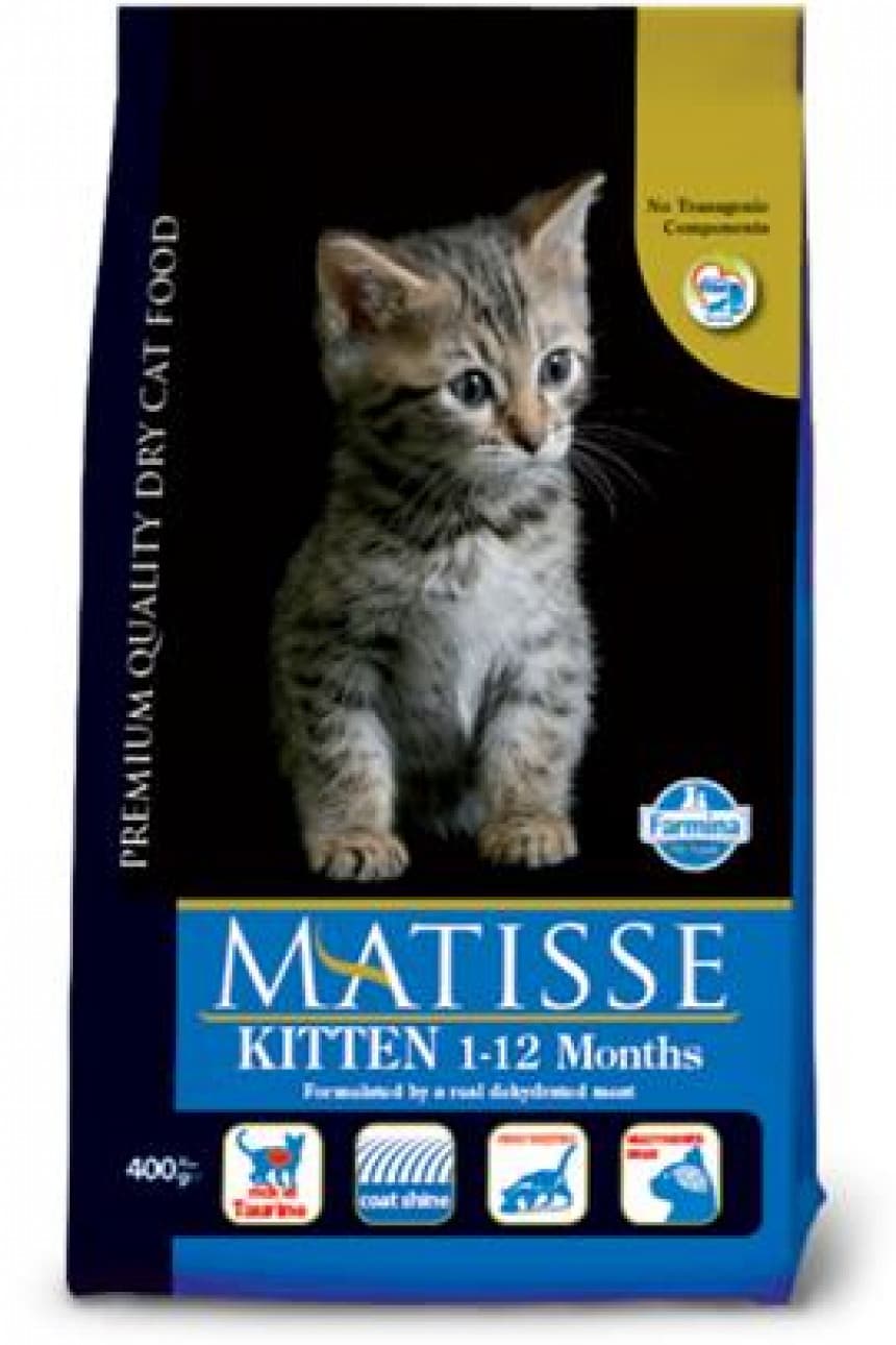 Matisse kitten 10kg 1