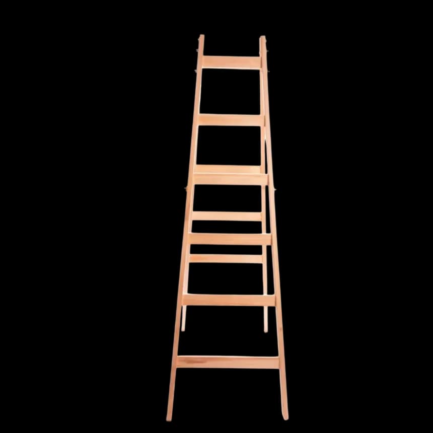 MaxMaster Drvene Merdevine 2x6 195cm 1