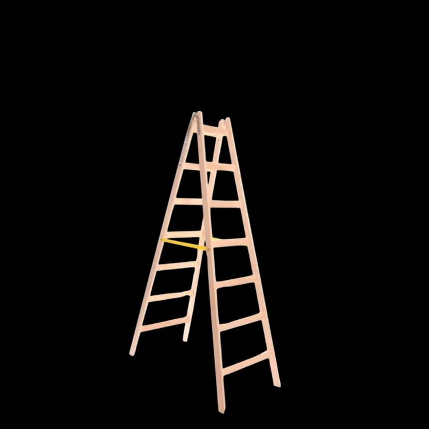 MaxMaster Drvene Merdevine 2x7 225cm 1