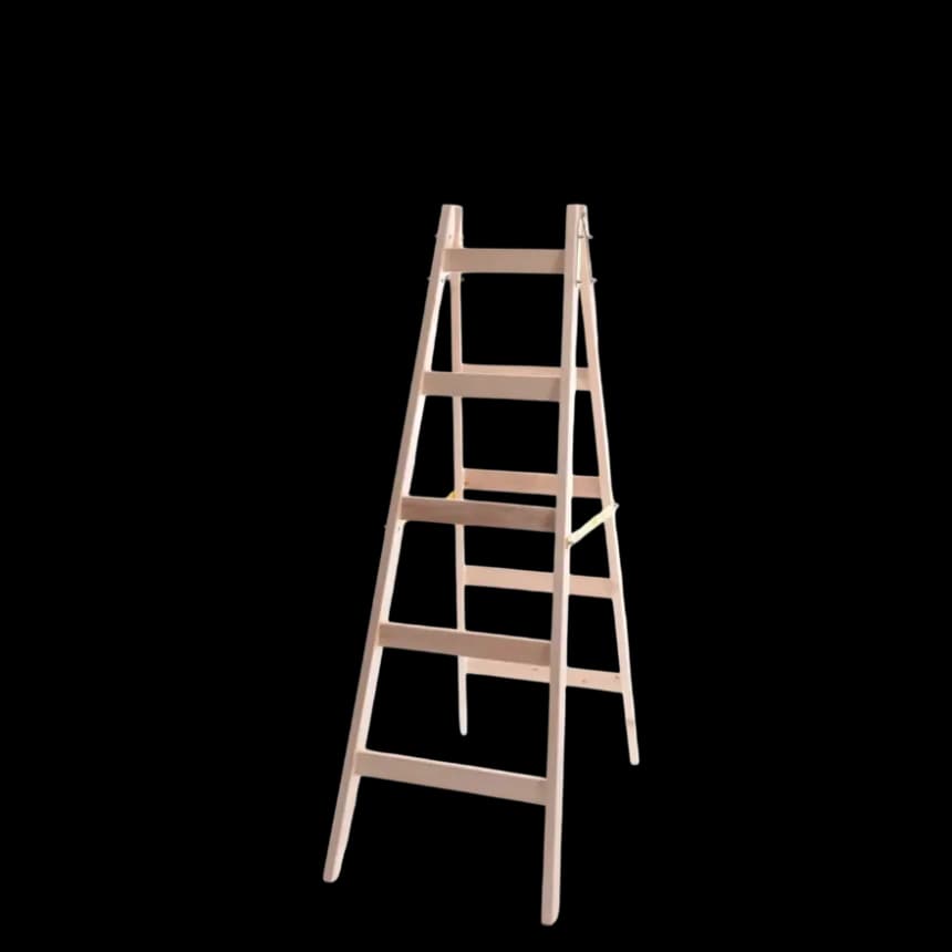 MaxMaster Drvene Merdevine 2x5 165cm 1