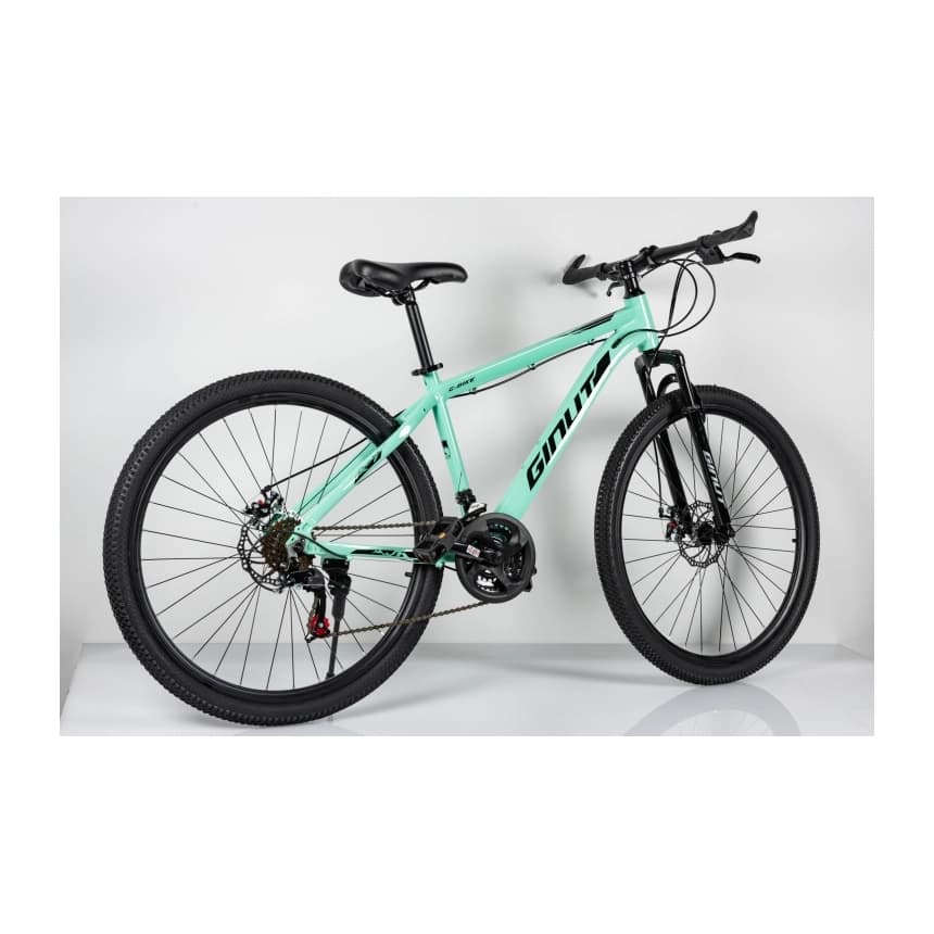 Winnerbike Bicikle BIC.27.5" MAXIMUS GREEN 11