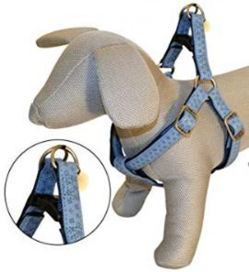 MyLord am 60/100*25 plavi 1