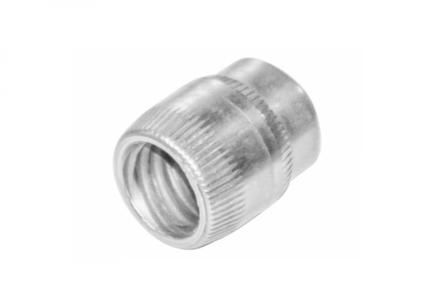 Orah kineske glave 1