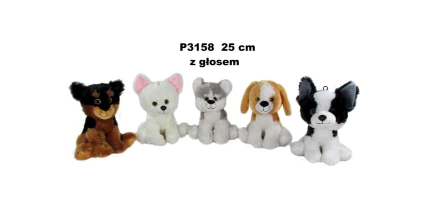 Pas 152497 1