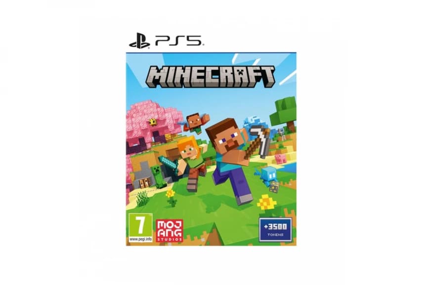 PS5 Minecraft 1