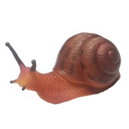 Puž                                                       