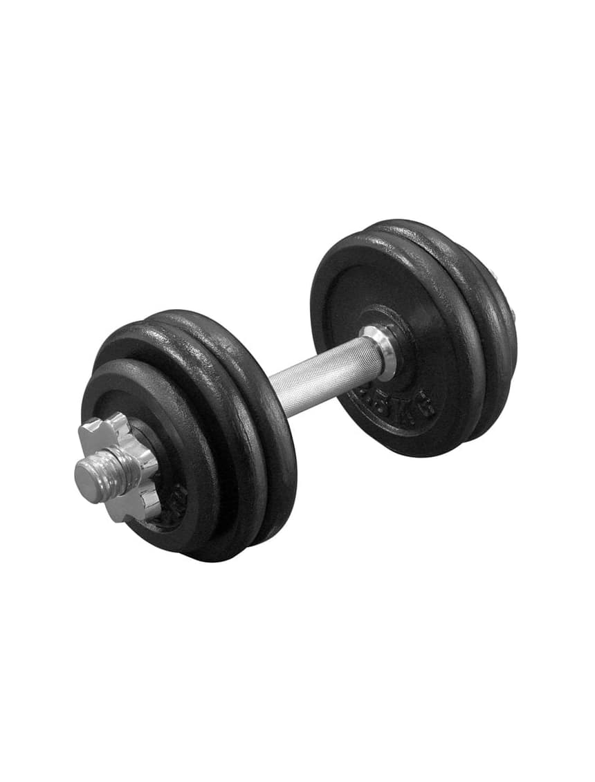 Tegovi 15kg Set livenih tegova 15kg Bućica 1