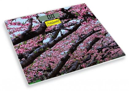 MAESTRO MR1823 DIGITALNA PODNA VAGA 150KG