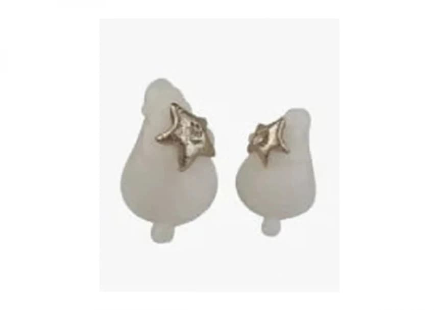 Voštani ukras 354560 2