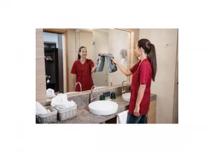 Karcher WVP 10 ADVANCED - Baterijski usisivač za prozore 1.633-560.0