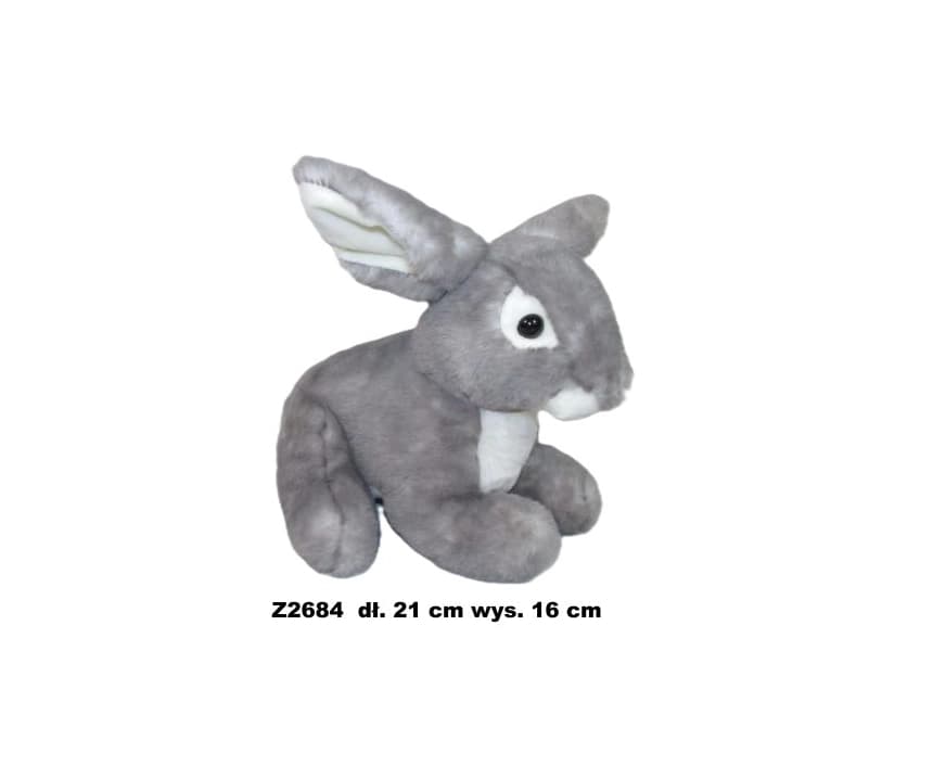 Zec 173737 1