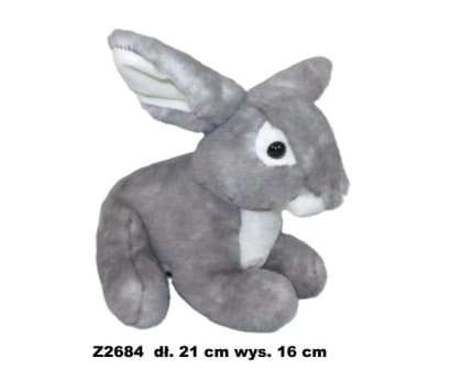 Zec 173737